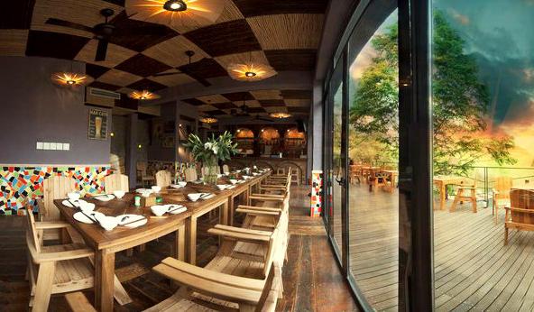 安吉山顶老树林,浙江安吉老树林