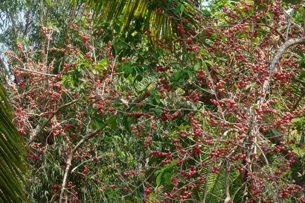 感受海岛三亚的浪漫,三亚湾浪漫之旅