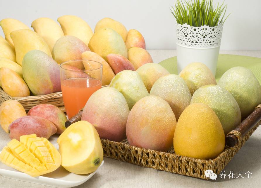 冷知识干货科普植物 (植物大战僵尸2冷门知识)