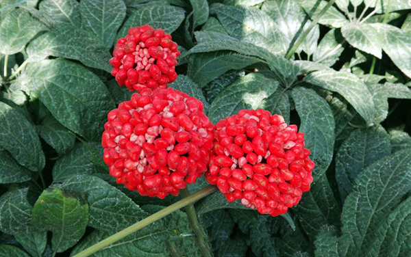 月经病调理经验,紧张害怕焦虑恐惧中医怎么调理