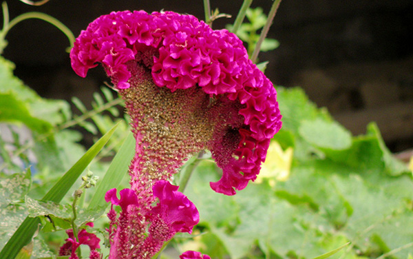 月经病调理经验,紧张害怕焦虑恐惧中医怎么调理