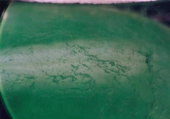 c货翡翠的识别,c货翡翠牌子