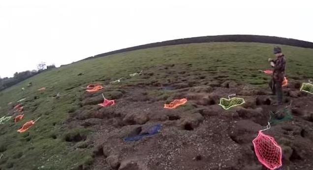 农场野兔,农场野兔泛滥