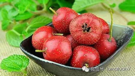 孕妈稍微吃点东西肚子胀的原因,孕妇肚子疼可以吃点儿什么