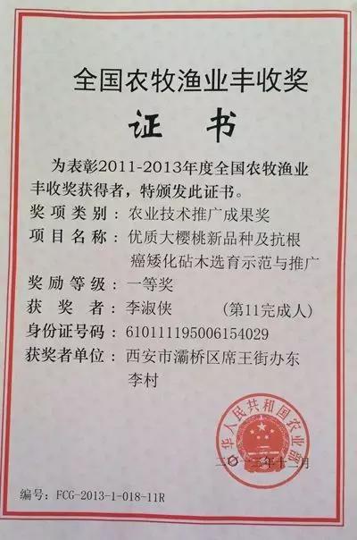 白鹿原采摘大樱桃,去白鹿原采摘樱桃