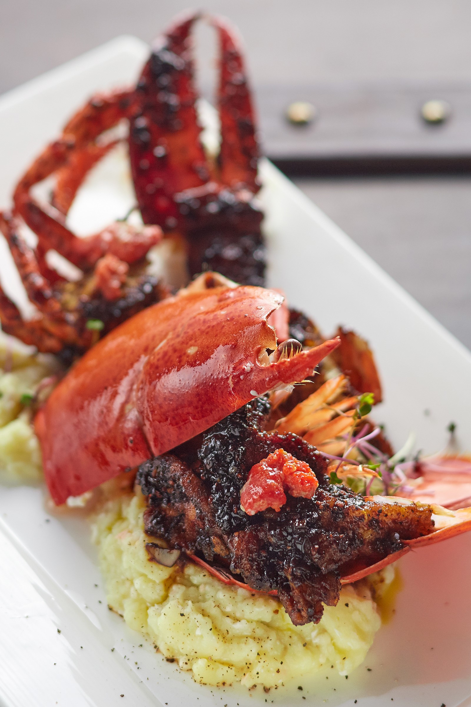 luna月球探测,luna月亮味