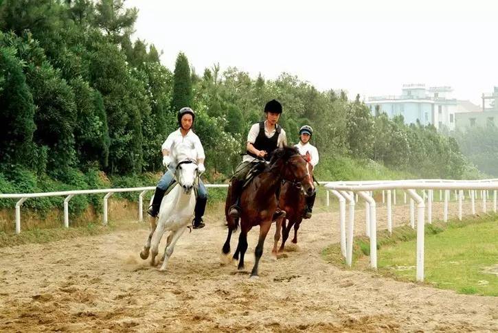 五一好去处~除了竹海善卷洞,宜兴的这些地方也很美~