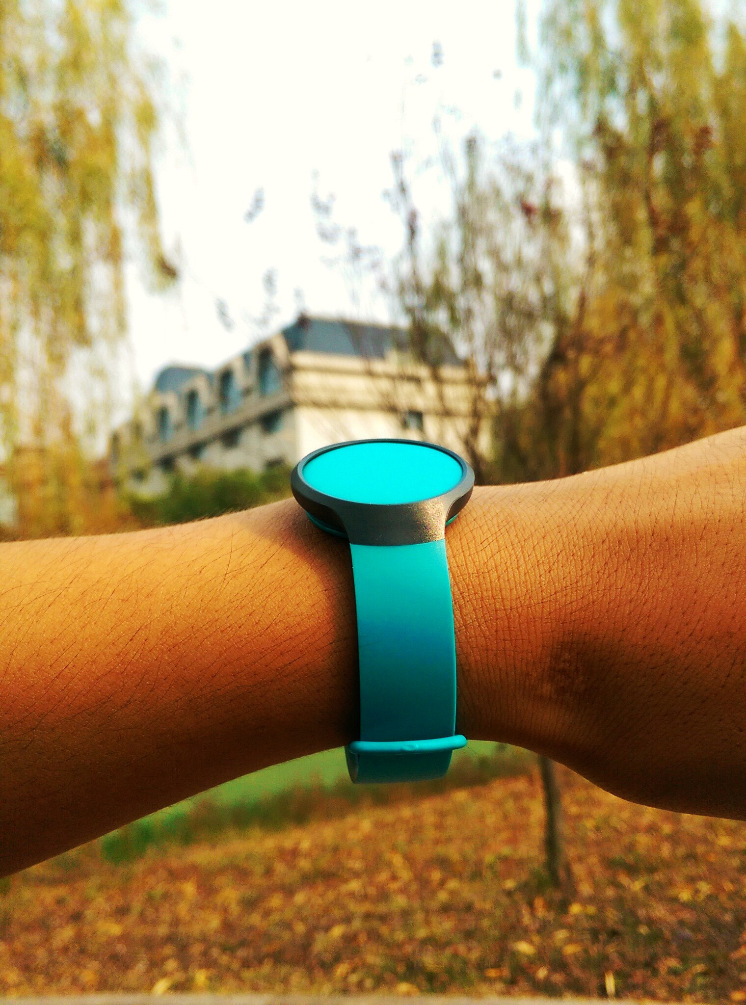 misfit测评,misfit品牌