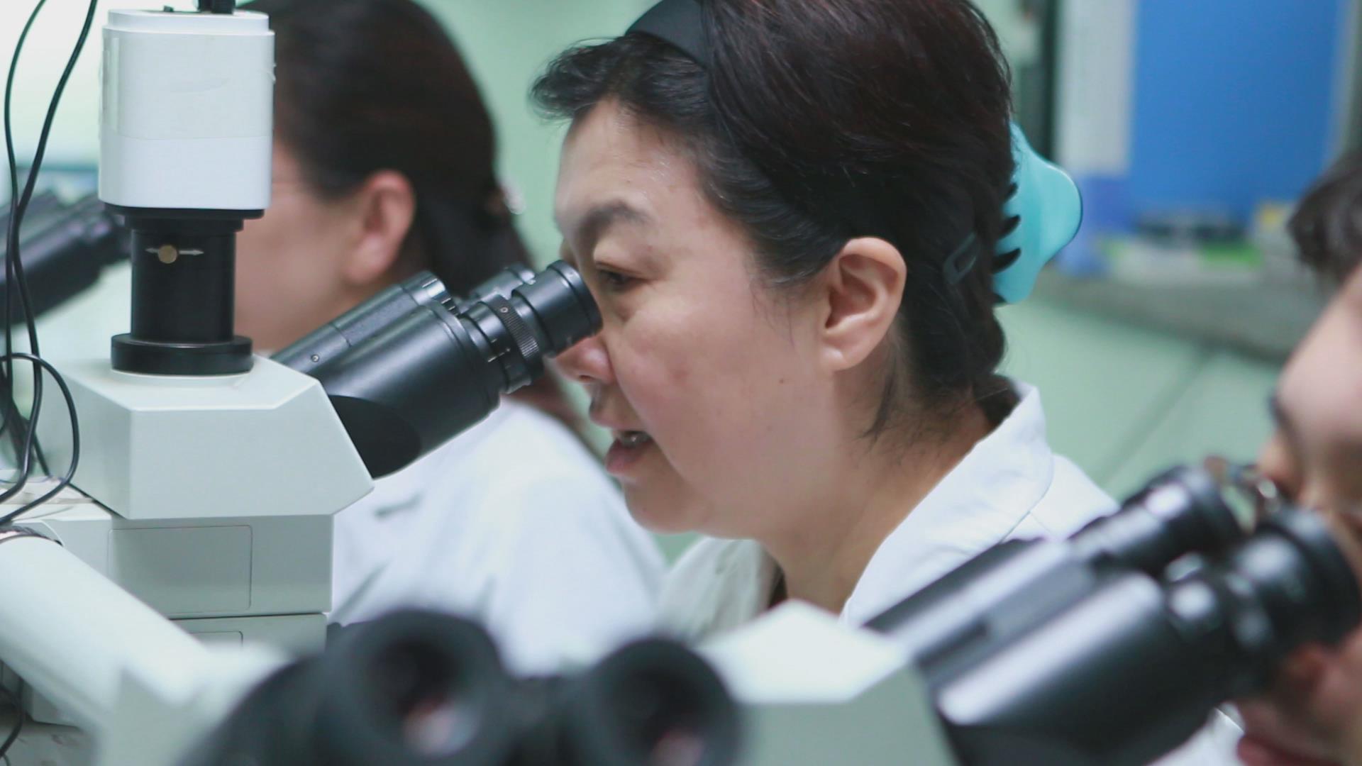 覆膜镀锌钢板生产厂家,父母的性格伴随孩子的一生