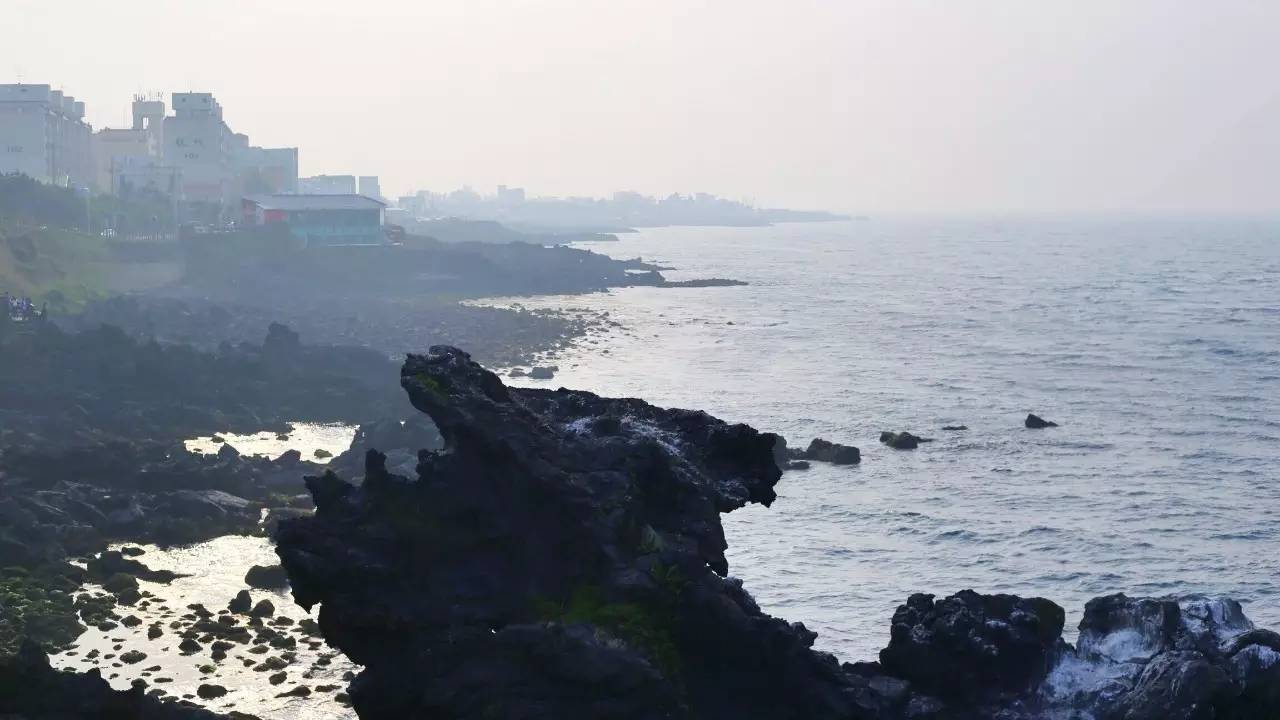 全过程记录，揭秘廉价济州岛跟团游背后的真相