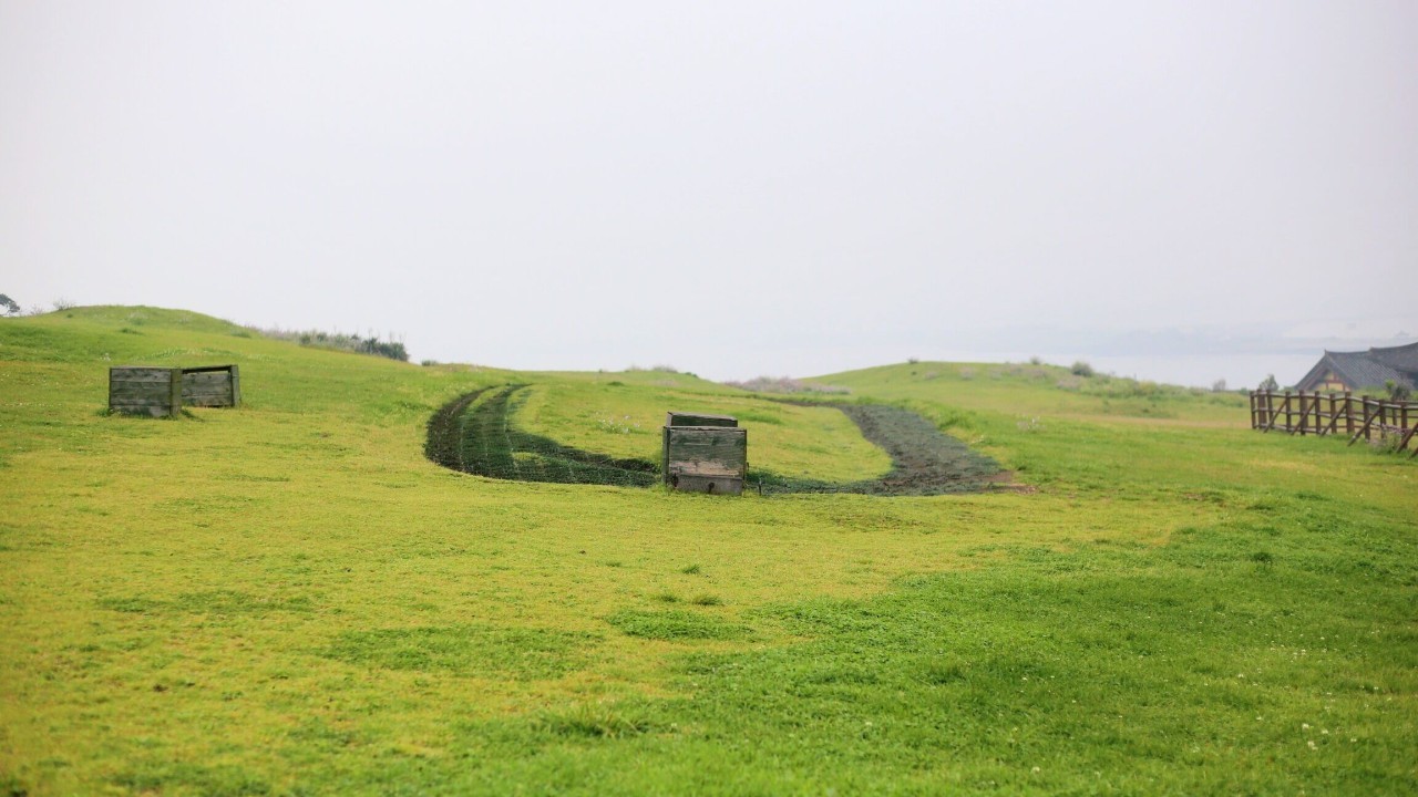 全过程记录，揭秘廉价济州岛跟团游背后的真相