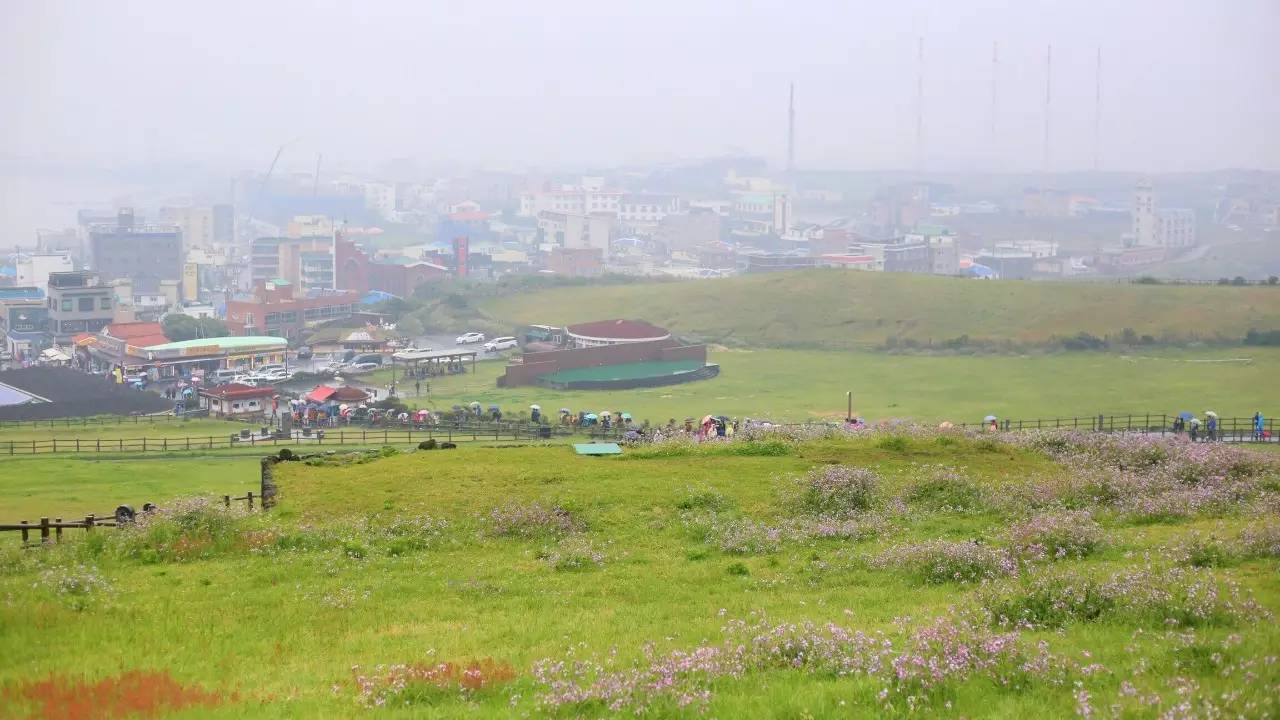 全过程记录，揭秘廉价济州岛跟团游背后的真相
