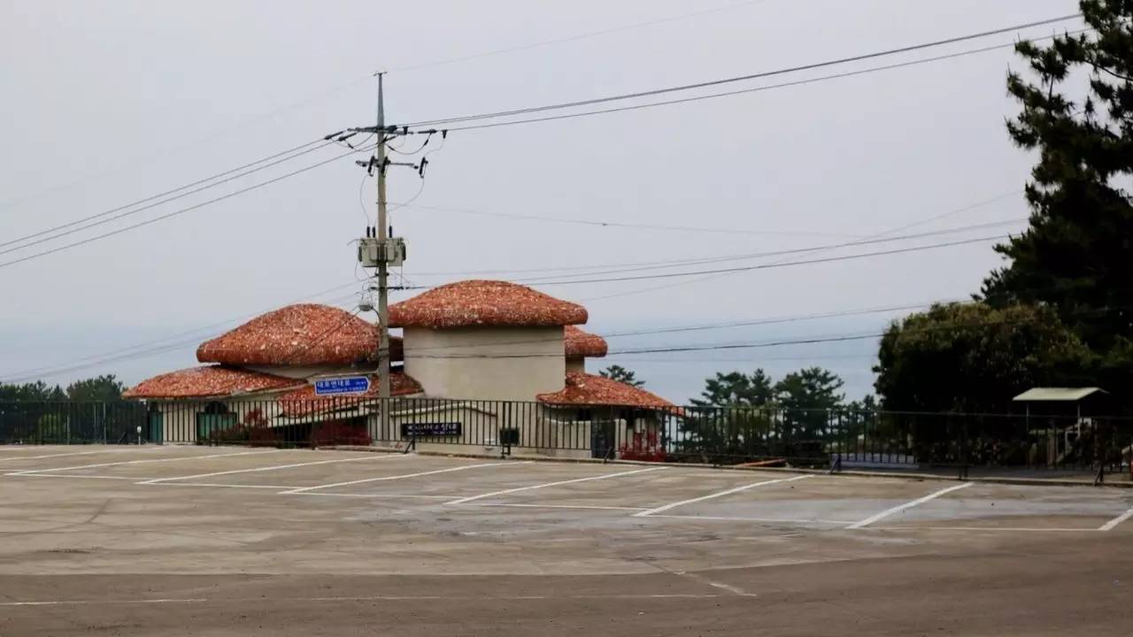 全过程记录，揭秘廉价济州岛跟团游背后的真相