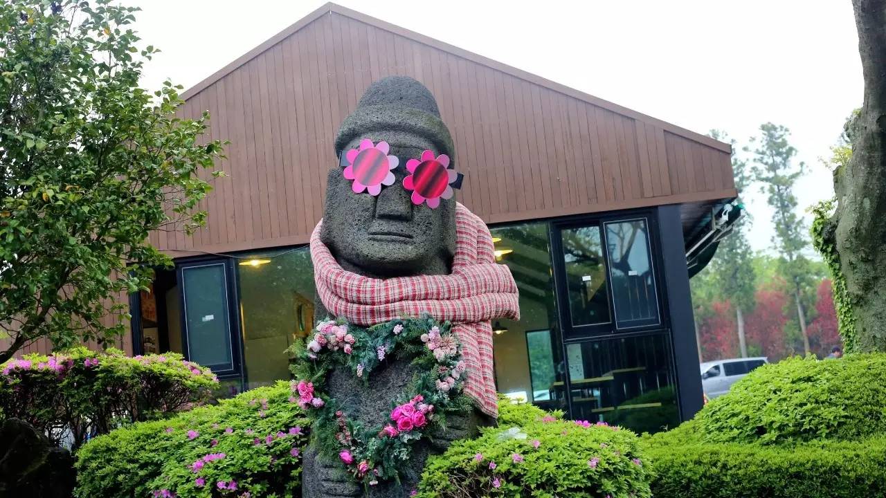 全过程记录，揭秘廉价济州岛跟团游背后的真相