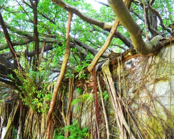 台湾小清新,台湾最美的十个小镇