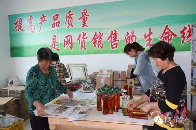 一天时间，陇南电商观摩组看了什么”点“？取了哪些”经“？