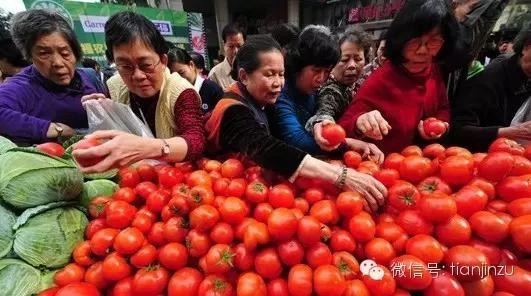 天津四月份种什么菜好吃,这个季节有什么便宜的好吃的蔬菜