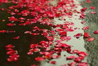 分享一首好听带有魔性的音乐,分享一首好听古风歌曲