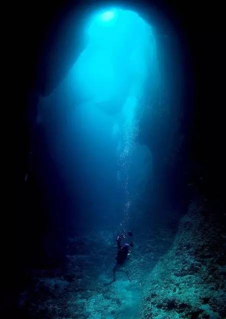 帕劳旅游报价携程,帕劳深度旅游攻略