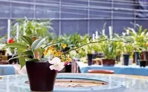 五一出行100分推荐，人少景美文艺到爆