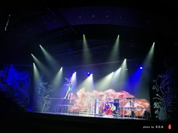 珊瑚海日本,陪你去看海底世界