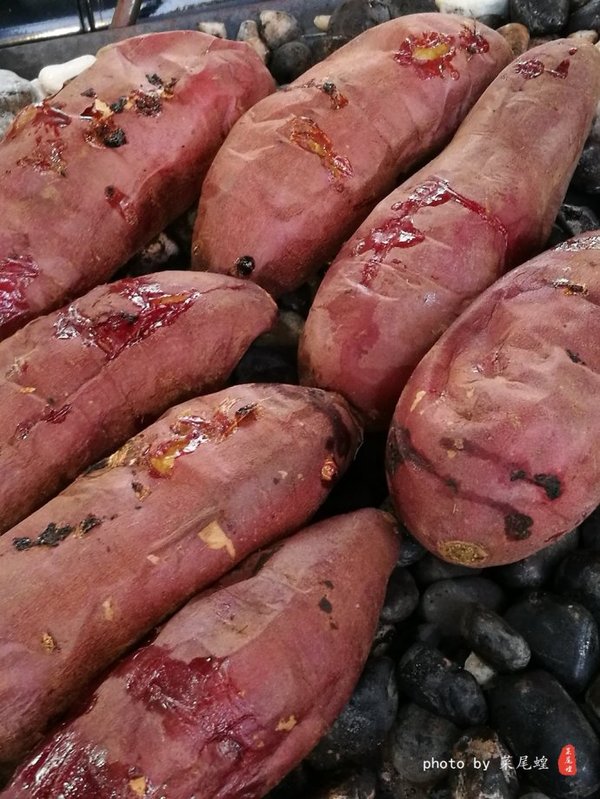 珊瑚海日本,陪你去看海底世界