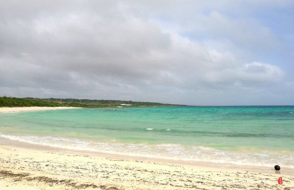 珊瑚海日本,陪你去看海底世界