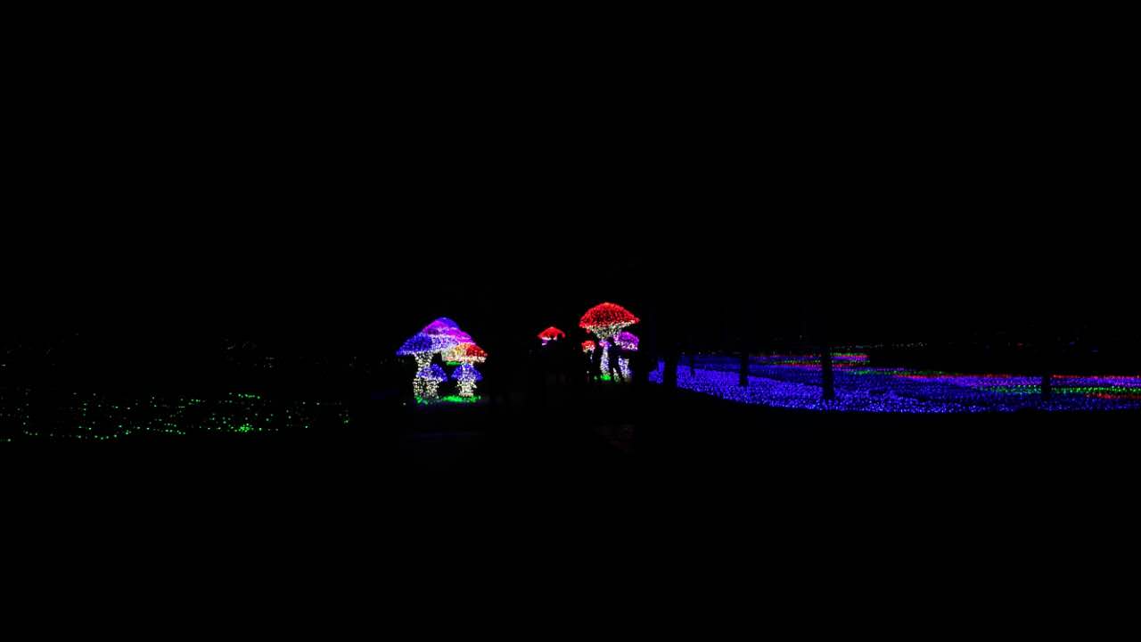 亿万星光点亮世纪欢乐园“奇幻之夜”光影盛宴