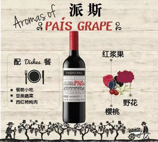 南美洲十种代表性动物,南美特色水果有哪些种类