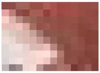 ps术语入门教程,ps入门避坑指南