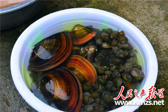 贵州凯里剑河县风景,贵州剑河章白村风景