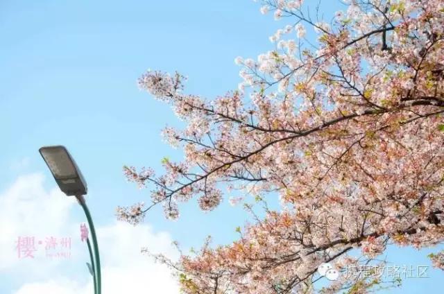 不用签证花费最低的国家,五个好玩不贵的免签证国家