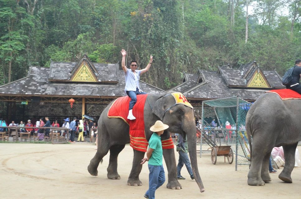 云南有三宝是什么东西,云南有三宝吗