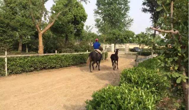 南京这些地方比KTV好玩百倍,99%的人不知道!