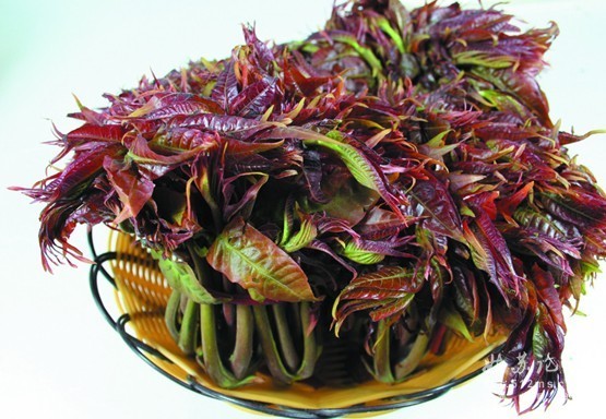 野菜无毒无害,野菜纯天然的绿色蔬菜