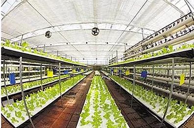 龙泉驿区幸福美丽乡村建设,龙泉驿阳光村乡村振兴项目