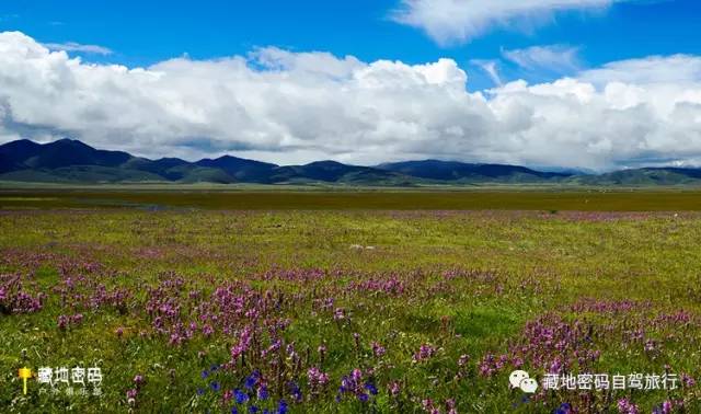 成都出发318川藏线到亚丁攻略,川藏318成都到稻城亚丁摩旅