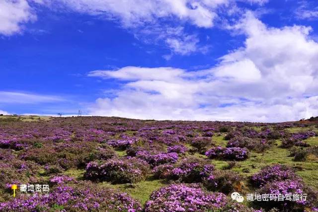 成都出发318川藏线到亚丁攻略,川藏318成都到稻城亚丁摩旅