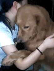 属狗58年今日运势,今日属狗之人财运是否好