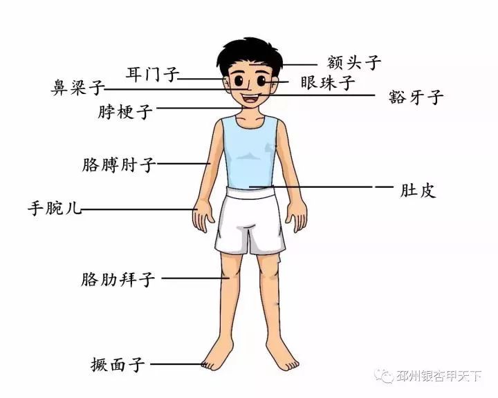 你是不是正宗邳州人？一句话来证明！