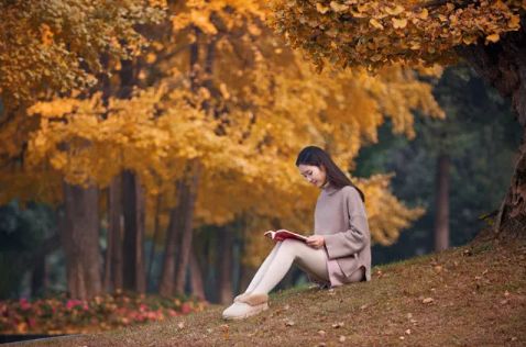 金牛心理测试,成都新规划