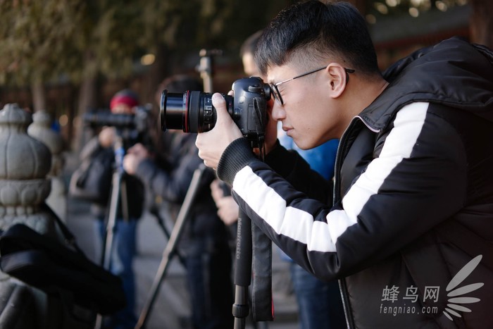 曼富图铝合金三脚架推荐,曼富图element三脚架使用方法