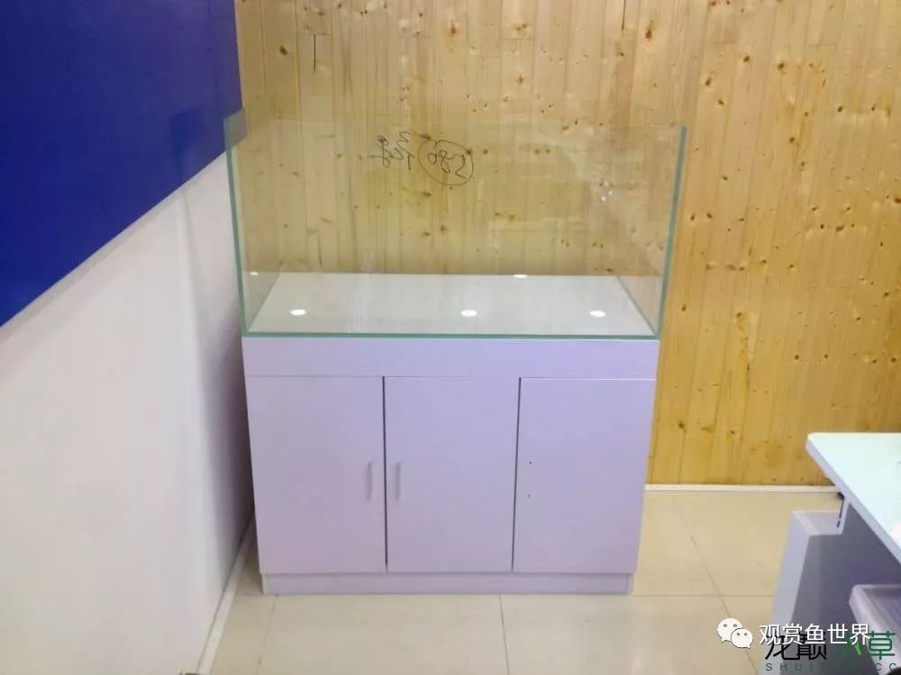 谦虚的新人晒一晒1米缸，“建缸”VS45天后（内涵多张细节图和详解！）