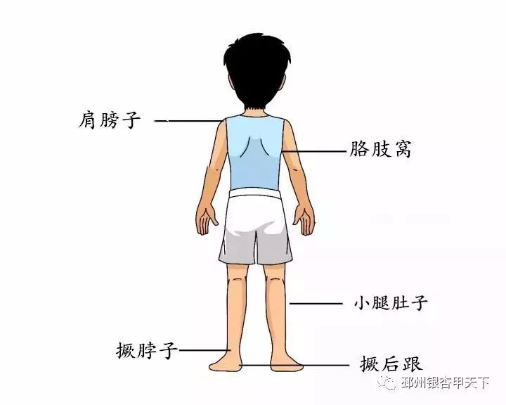 你是不是正宗邳州人？一句话来证明！