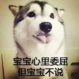 属狗58年今日运势,今日属狗之人财运是否好