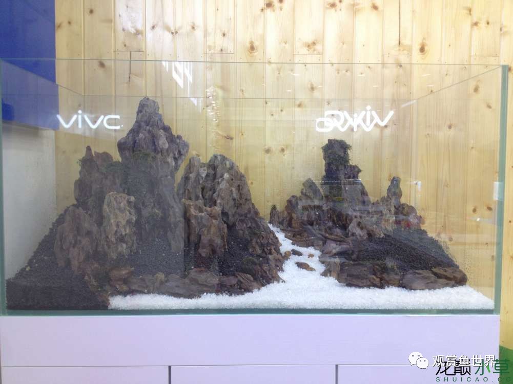 谦虚的新人晒一晒1米缸，“建缸”VS45天后（内涵多张细节图和详解！）