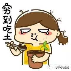 普通种草姬的平价好物,种草姬变白身体乳推荐