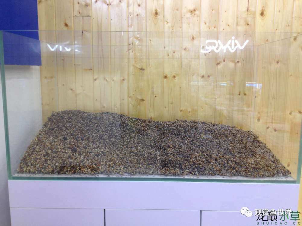 谦虚的新人晒一晒1米缸，“建缸”VS45天后（内涵多张细节图和详解！）