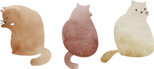 跨年礼物送男朋友实用简单,跨年礼物攻略男生