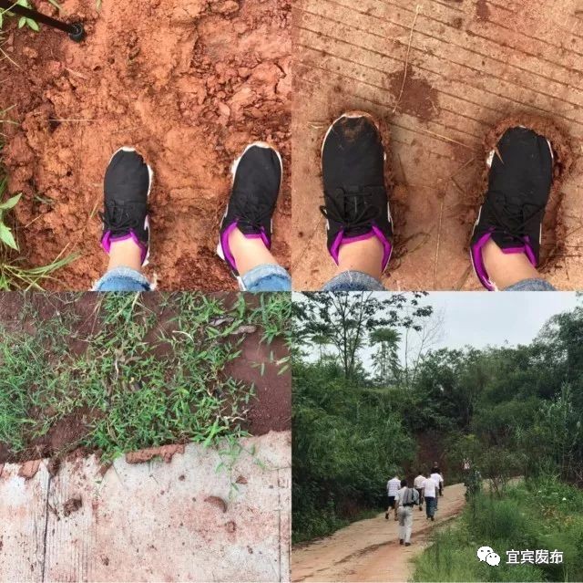 宜宾市国土自然资源厅,宜宾市国土资源局公示